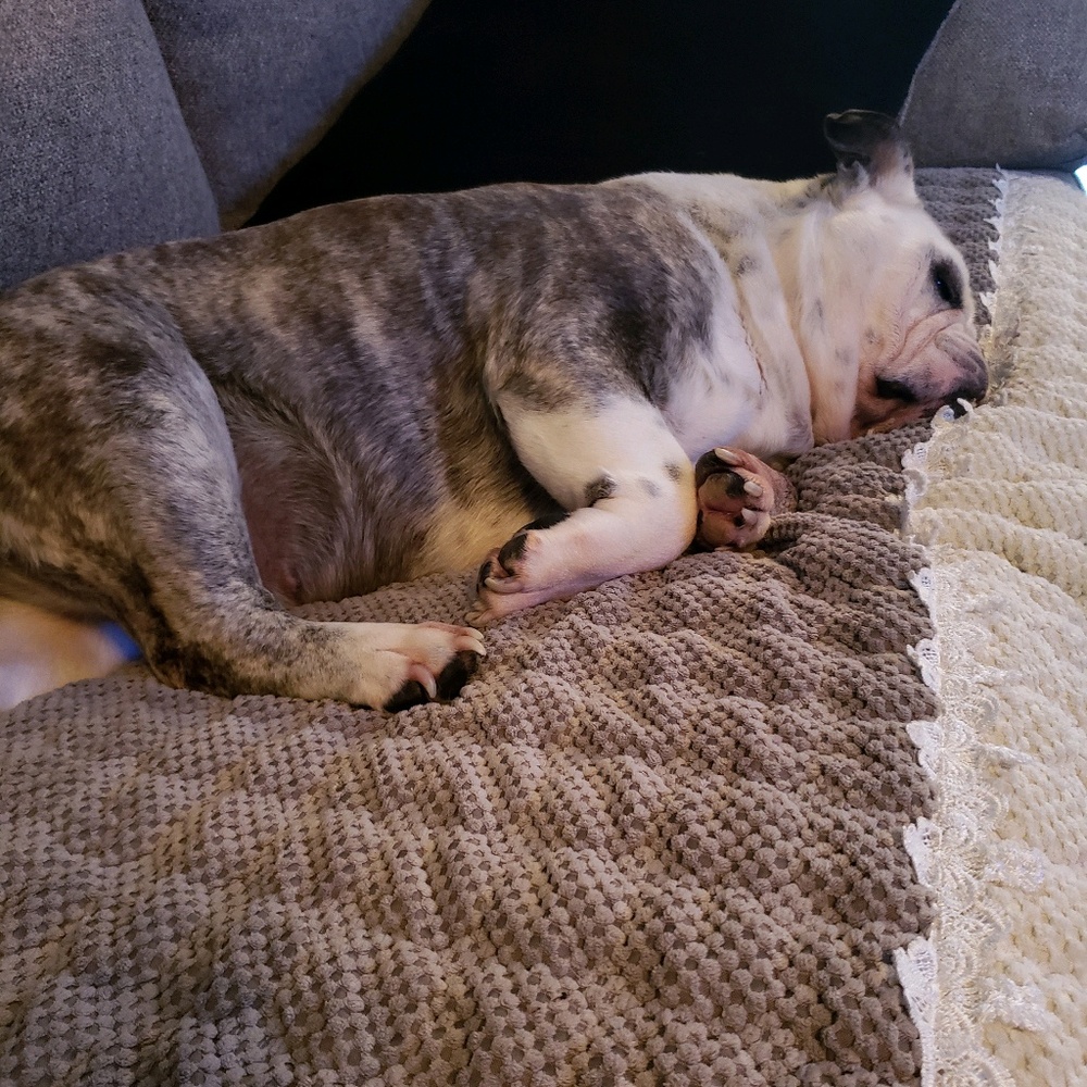 Meet your Posher, Nikita